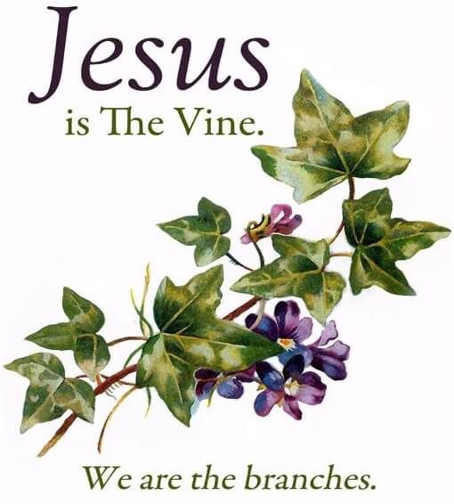 Jesus is The Vine - We are the branches