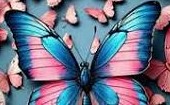 Sky Blue Pink …