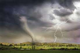 Springing Through The Storms Of Life ...