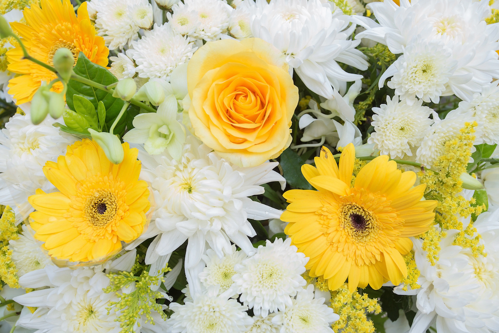 The Merry Month of May …