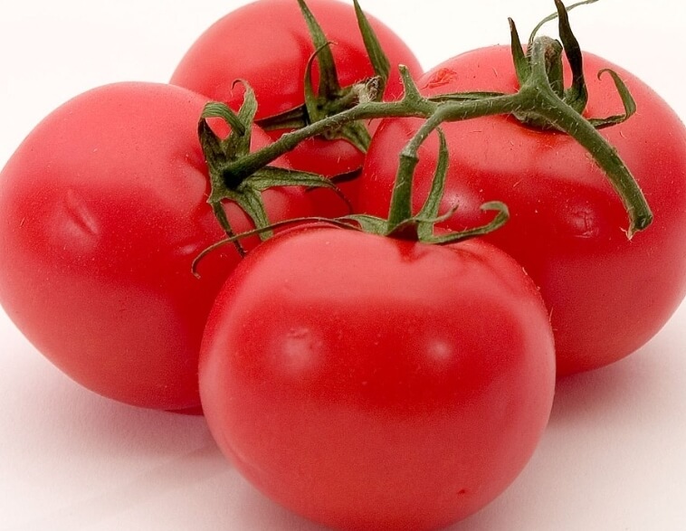 Wisdom is as wisdom does…