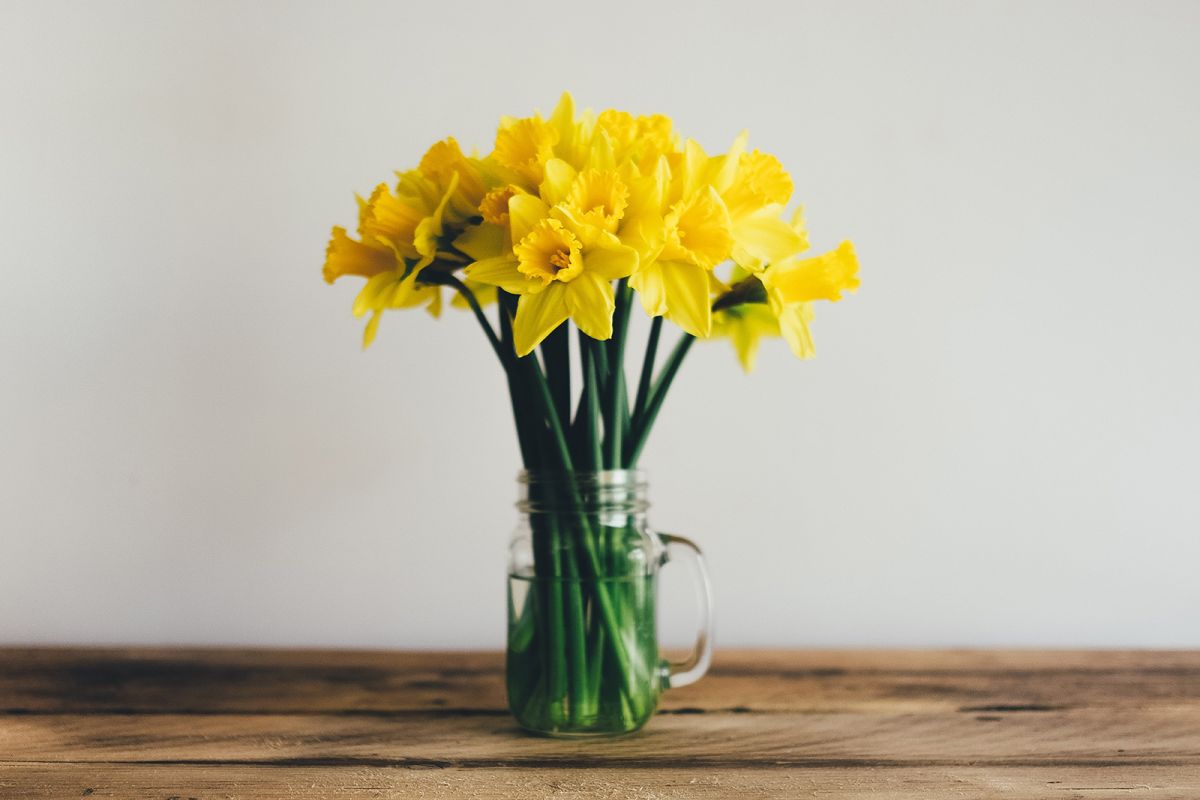 images/downloaded_media/gallery-lightbox-05.jpg#joomlaImage://local-images/downloaded_media/gallery-lightbox-05.jpg?width=1600&height=1100